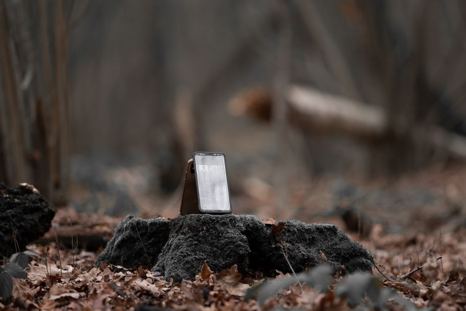 Um smartphone repousado sobre uma pedra cercada por folhas secas de outono em um ambiente de floresta.